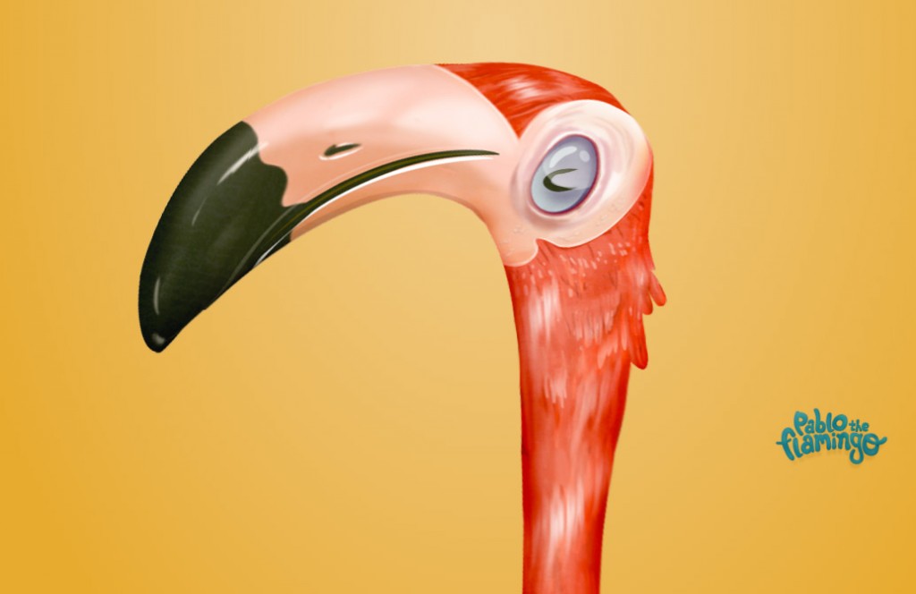 Dancing Flamingo by Nathan Gordon and Pascal Van Der Haar