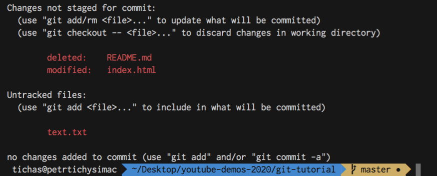 Git Tutorial for Beginners - Status