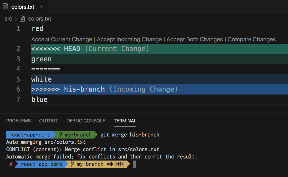 git merge master into branch conflicts